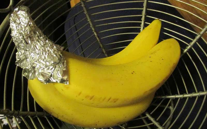 cum-se-patreaza-bananele