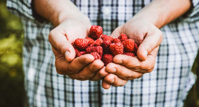 beneficii-ale-uleiului-de-zmeura