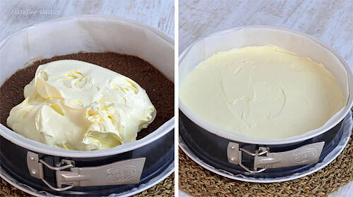 Prajitura cu inghetata ingrediente