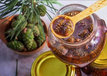 dulceata de conuri si lamaie