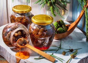 dulceata delicioasa de conuri de pin