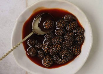 dulceata din conuri de pin cu miere