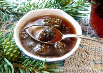 dulceata exotica din conuri