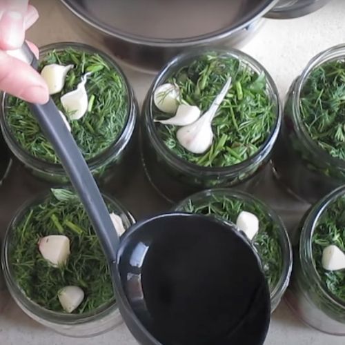 turnarea saramurii peste botwinka