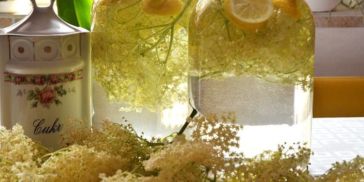 reteta clasica de socata