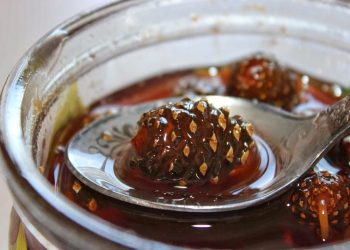 retete de dulceata de conuri