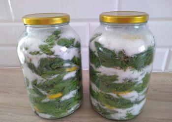 sirop de brad cu zahar brun