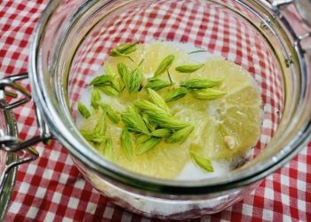 sirop de brad facut acasa cu lamaie