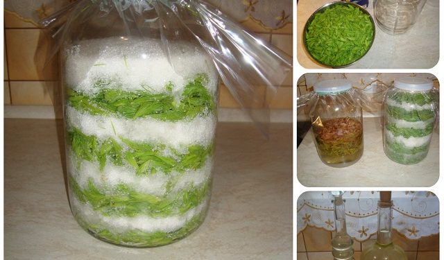 sirop natural de brad