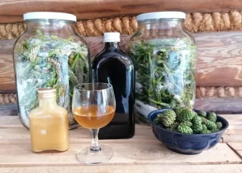 sirop si dulceata din muguri si conuri de pin