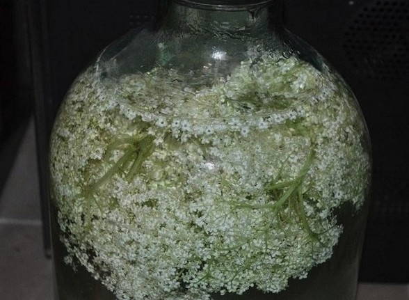 Socată de casă fără drojdie