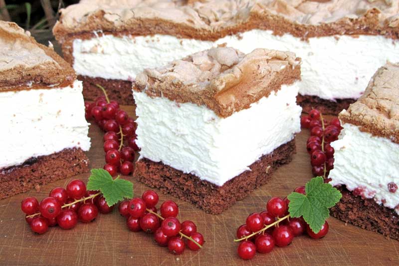 Prajitura cu gem de coacaze