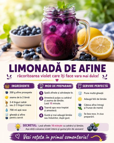 Limonadă de afine, răcoritoarea violet care îți face vara mai dulce. Iat-o pas cu pas!