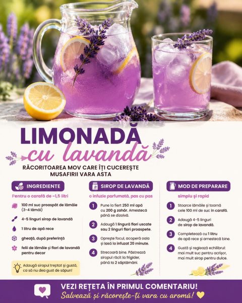 Limonadă cu lavandă, răcoritoarea mov care îți cucerește musafirii vara asta