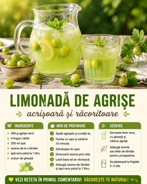 Limonadă de agrișe, acrișoara verde din grădină pe care toți o uită. Iată cum o faci!