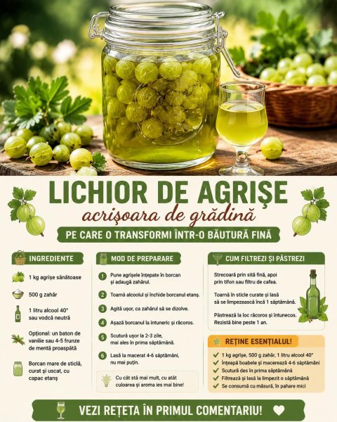 Lichior de agrișe, acrișoara de grădină pe care o transformi într-o băutură fină