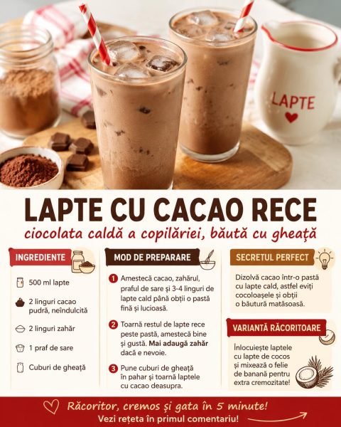 Lapte cu cacao rece, ciocolata caldă a copilăriei băută cu gheață