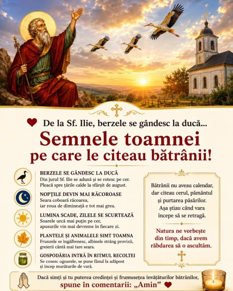 De la Sf. Ilie, berzele se gândesc la ducă. Iată semnele toamnei pe care le citeau bătrânii!